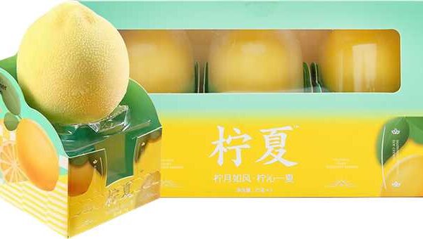 Forest Foods Lemon Yogurt 24 Pack